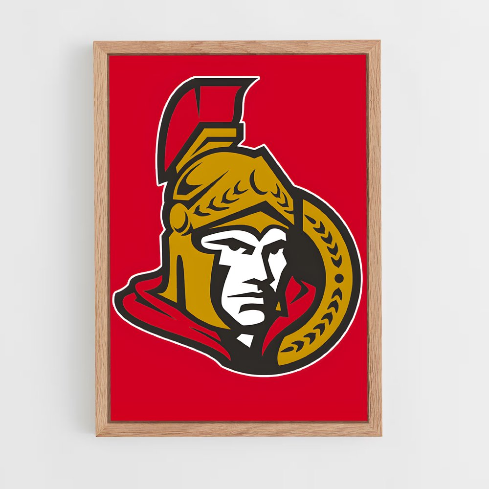 Poster Maryland Spirit – affiche Hockey sur glace (vue 4)